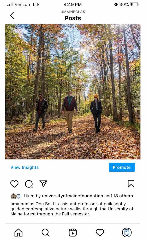 Three humans walk on a leafy path.